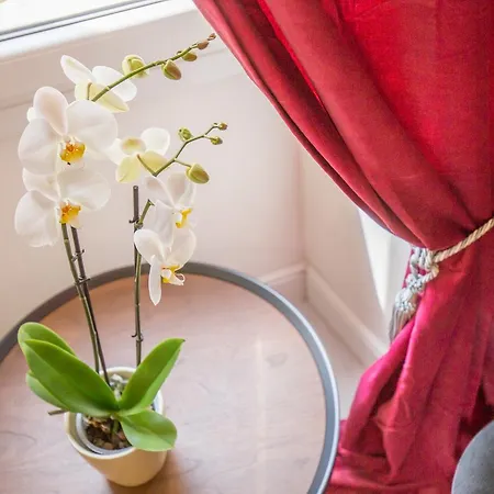 Bed & Breakfast Corte Realdi Garda (Verona)
